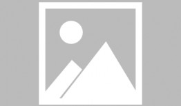 雷州爆料新闻报道最新,最新突发事件引发社会关注！